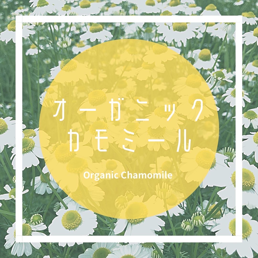 organic_chamomile